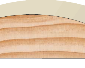 CB21