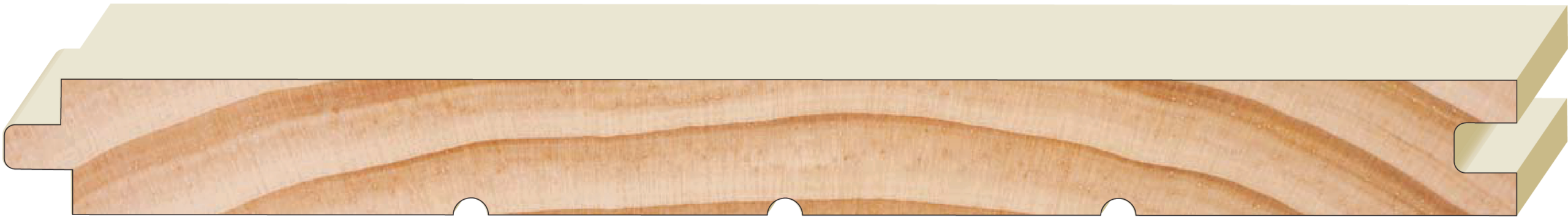 TG1
