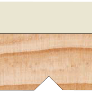 TGP2
