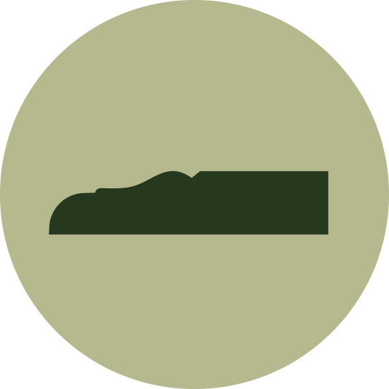 Profile Replication icon